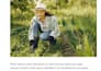 write SEO blogs on gardening, plant care, essays,  articles